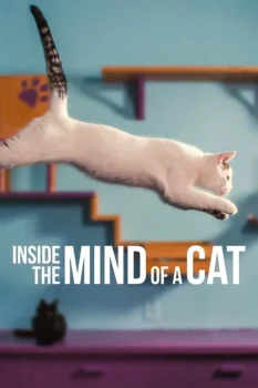 فيلم ماذا يدور في رأس القطط؟ | Inside the Mind of a Cat