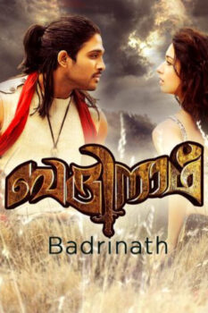 مشاهدة فيلم Badrinath 2011 مترجم HD