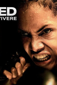 مشاهدة فيلم Bruised 2020 مترجم HD