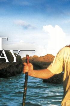 مشاهدة فيلم Cast Away 2000 مترجم HD
