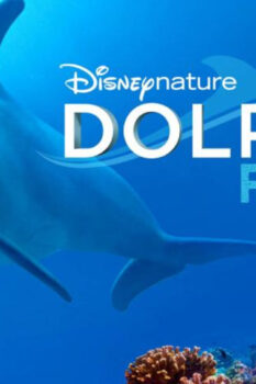 مشاهدة فيلم Dolphin Reef 2020 مترجم HD