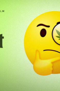 مشاهدة فيلم Going to Pot: The Highs and Lows of It 2021 مترجم HD