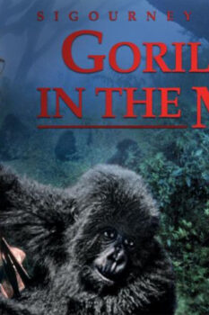 مشاهدة فيلم Gorillas in the Mist 1988 مترجم HD