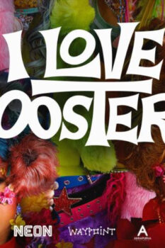 مشاهدة فيلم I Love Boosters 2026 مترجم HD