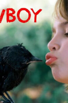 مشاهدة فيلم Kauwboy 2012 مترجم HD