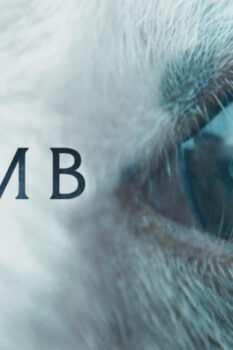 مشاهدة فيلم Lamb 2021 مترجم HD