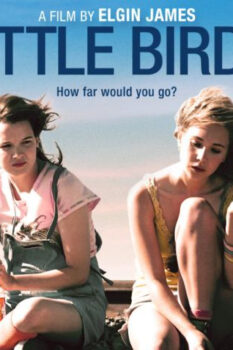 مشاهدة فيلم Little Birds 2011 مترجم HD