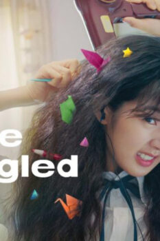 مشاهدة فيلم Love Untangled 2025 مترجم HD