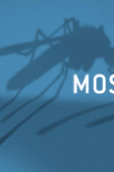 مشاهدة فيلم Mosquito State 2020 مترجم HD