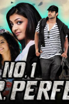 مشاهدة فيلم Mr Perfect 2011 مترجم HD