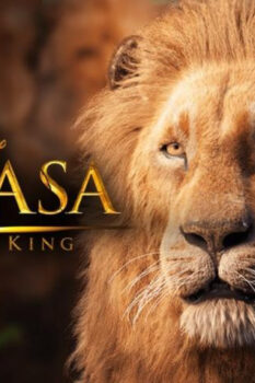 مشاهدة فيلم Mufasa: The Lion King 2024 مترجم HD