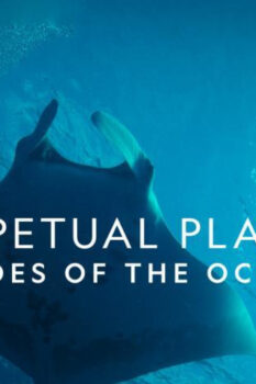 مشاهدة فيلم Perpetual Planet: Heroes of the Oceans 2021 مترجم HD