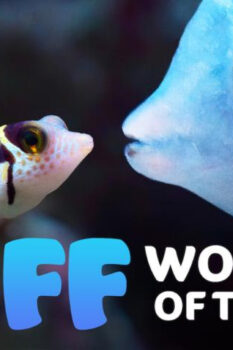 مشاهدة فيلم Puff: Wonders of the Reef 2021 مترجم HD