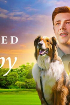 مشاهدة فيلم Rescued by Ruby 2022 مترجم HD