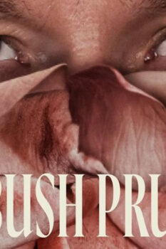 مشاهدة فيلم Rosebush Pruning 2026 مترجم HD