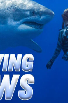 مشاهدة فيلم Saving Jaws 2019 مترجم HD