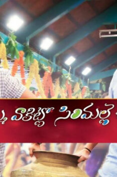 مشاهدة فيلم Seethamma Vaakitlo Sirimalle Chettu 2013 مترجم HD