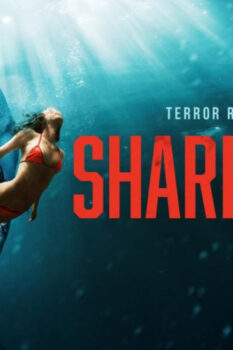 مشاهدة فيلم Shark Bait 2022 مترجم HD