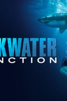 مشاهدة فيلم Sharkwater Extinction 2018 مترجم HD