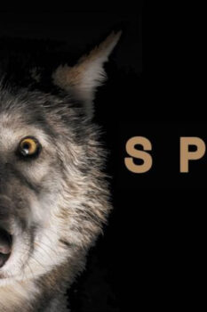 مشاهدة فيلم Spoor 2017 مترجم HD