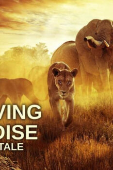 مشاهدة فيلم Surviving Paradise: A Family Tale 2022 مترجم HD