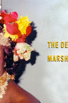 مشاهدة فيلم The Death and Life of Marsha P. Johnson 2017 مترجم HD