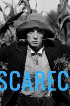 مشاهدة فيلم The Scarecrow 1920 مترجم HD