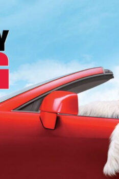 مشاهدة فيلم The Shaggy Dog 2006 مترجم HD