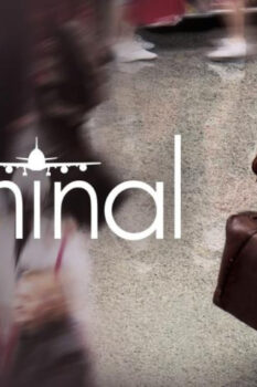 مشاهدة فيلم The Terminal 2004 مترجم HD