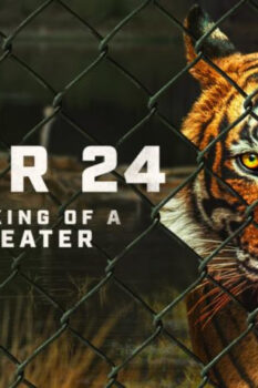 مشاهدة فيلم Tiger 24 2022 مترجم HD