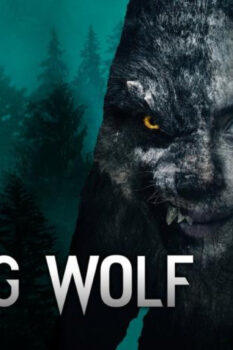 مشاهدة فيلم Viking Wolf 2022 مترجم HD