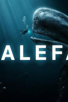 مشاهدة فيلم Whalefall 2026 مترجم HD
