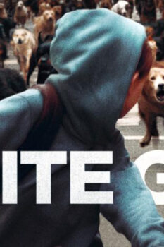 مشاهدة فيلم White God 2014 مترجم HD