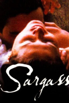 مشاهدة فيلم Wide Sargasso Sea 1993 مترجم HD