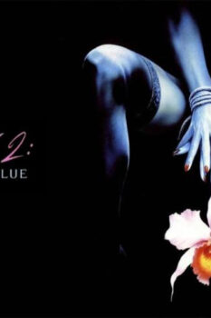 مشاهدة فيلم Wild Orchid II: Two Shades of Blue 1991 مترجم HD