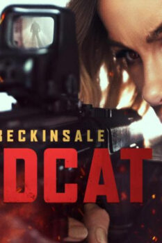 مشاهدة فيلم Wildcat 2025 مترجم HD