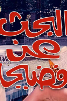 مشاهدة فيلم البحث عن فضيحة (1973) HD
