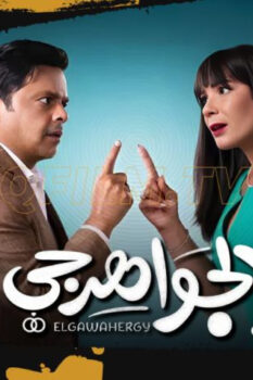 مشاهدة فيلم الجواهرجي (2026) HD