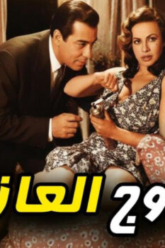 مشاهدة فيلم الزوج العازب (1966) HD