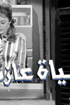 مشاهدة فيلم حياة عازب (1963) HD
