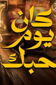 مشاهدة فيلم كان يوم حبك (2004) HD