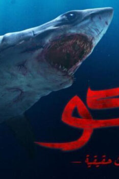 مشاهدة فيلم ماكو (2021) HD