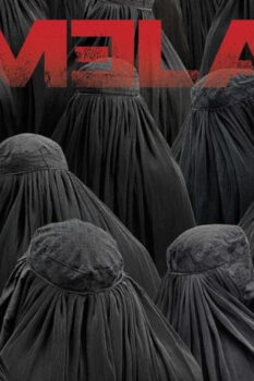 Homeland الموسم الرابع