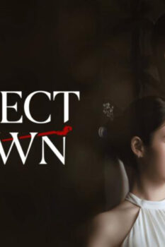 مشاهدة مسلسل التاج المثالي الحلقة 4 مترجمة – Perfect Crown