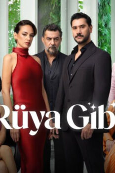 مشاهدة مسلسل مثل الحلم الحلقة 10 مترجمة – Rüya Gibi